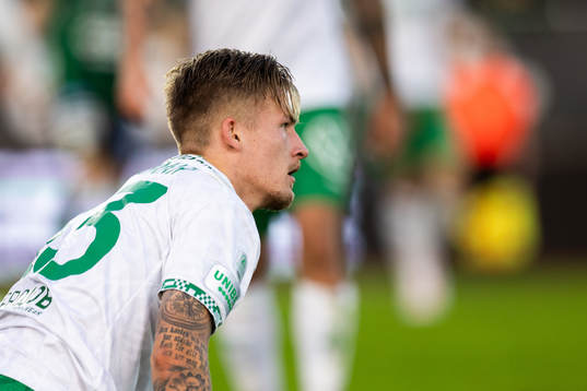 Hammarbys Fredrik Hammar