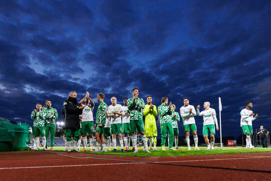 Hammarbys spelare jublar