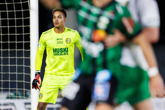 Hammarbys målvakt Oliver Dovin