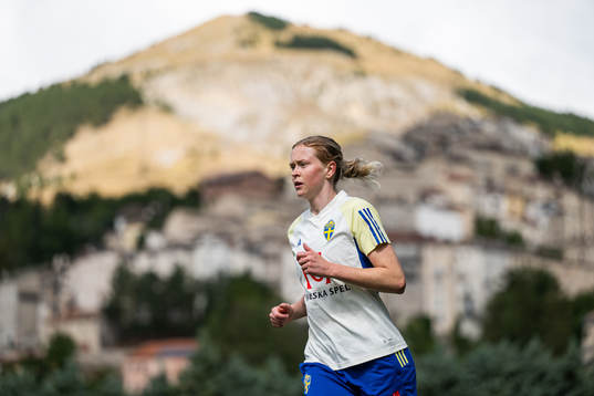Bläddra bland fler bilder av Football, Nations League, Sweden, Training 