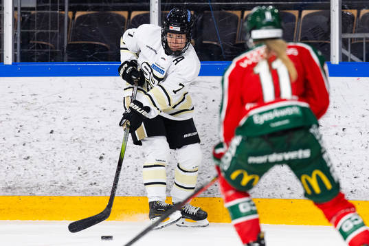 SDEs Linnea Hedin