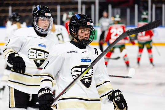 SDEs Linnea Hedin
