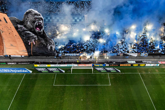 Djurgårdens supportrar med ett tifo