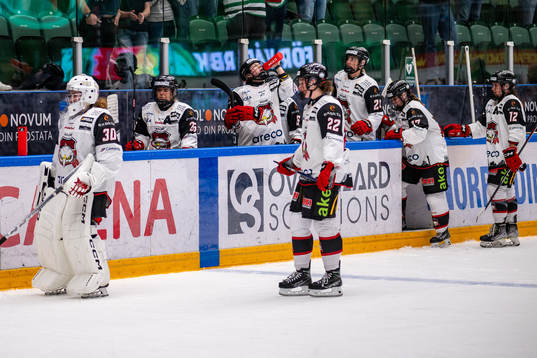 Malmö Redhawks spelarna deppar