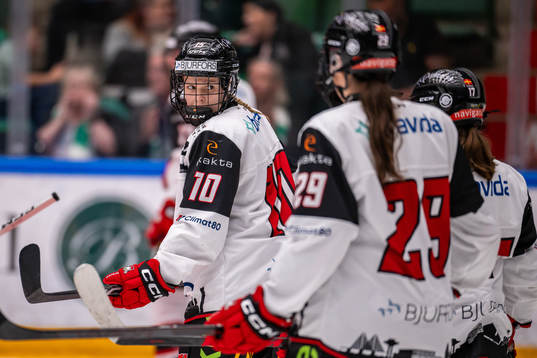 Malmö Redhawks Saga Nederman