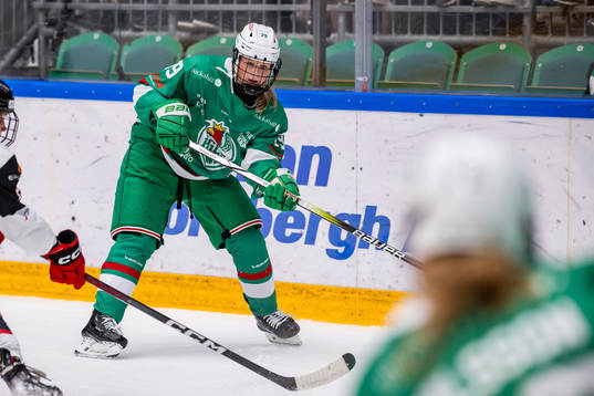 Rögles Mella Liegnell