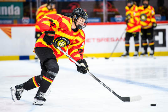 Brynäs Annie Silén