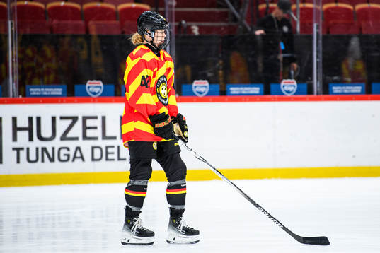 Brynäs Sini Karjalainen