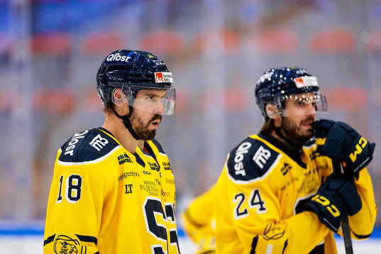 Södertäljes Linus Videll