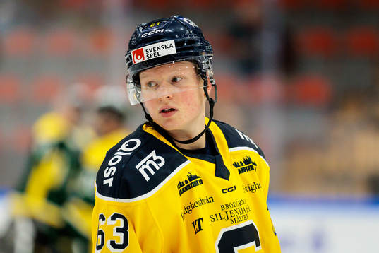Södertäljes Julius Bergman
