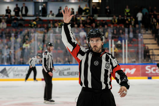 Domare Mattias Enroth