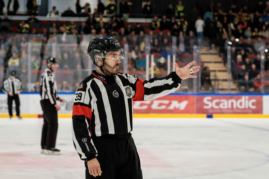 Domare Mattias Enroth