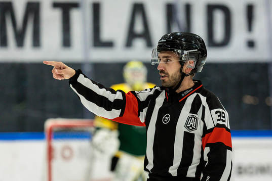 Domare Mattias Enroth