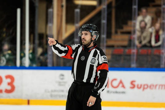 Domare Mattias Enroth