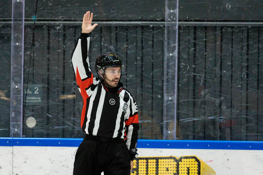 Domare Mattias Enroth