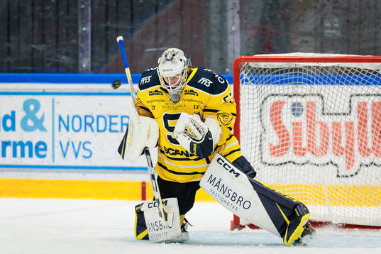 Södertäljes målvakt Claes Endre