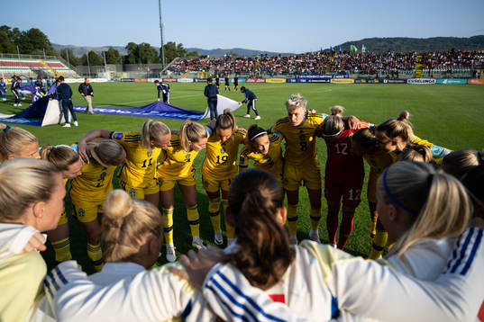 Players of Sweden