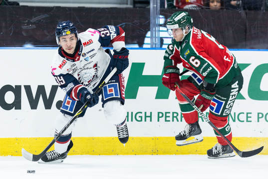 Linköpings Ty Rattie och Frölundas Filip Hasa