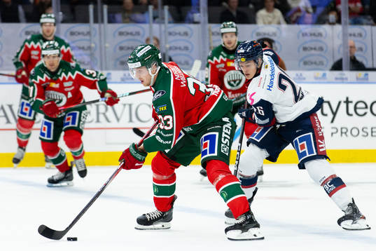 Frölundas Linus Högberg och Linköpings Fabian Wagner
