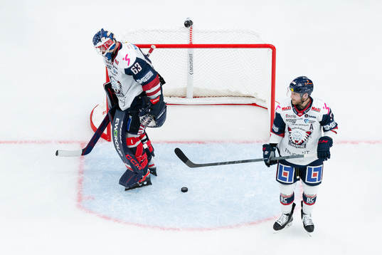 Linköpings målvakt Marcus Högberg och Linus Hultström