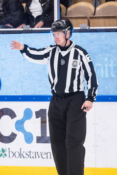 Linjedomare Mathias Franzén