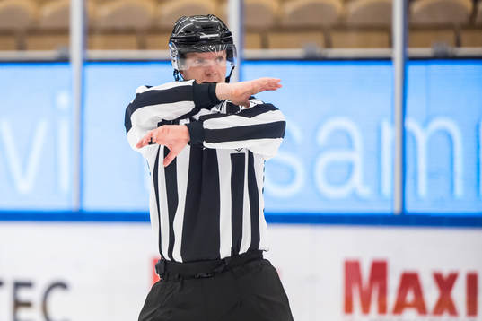 Linjedomare Mathias Franzén