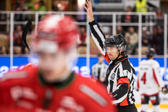 Domare Robin Jacobsson
