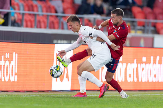 Helsingborgs Erik Ring