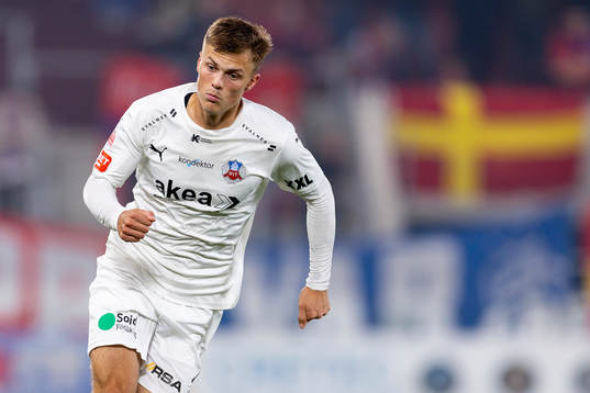 Helsingborgs Erik Ring