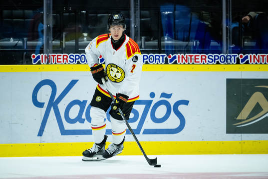 Brynäs Anton Johannesson