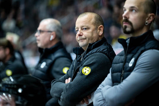 Brynäs huvudtränare Niklas Gällstedt