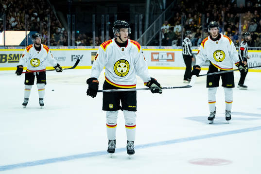 Brynäs Theo Lindstein deppar