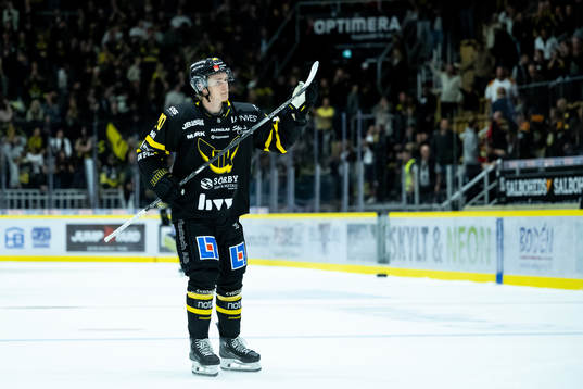 Västerås Isak Skedung