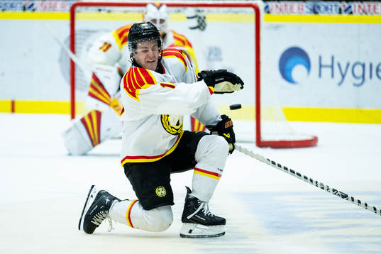 Brynäs Tyler Kelleher