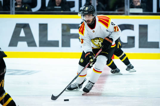 Brynäs Tyler Vesel