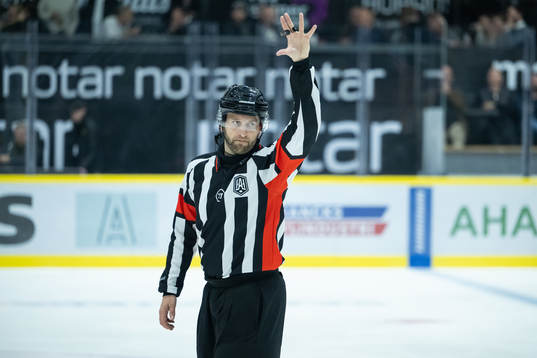 Domare Niklas Johansson