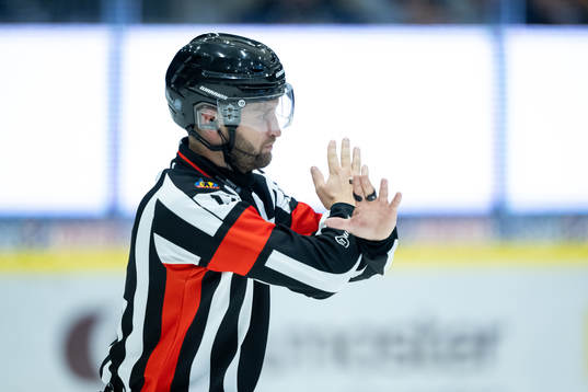 Domare Niklas Johansson