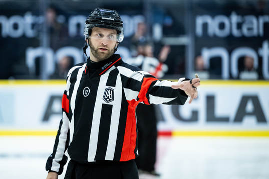 Domare Niklas Johansson