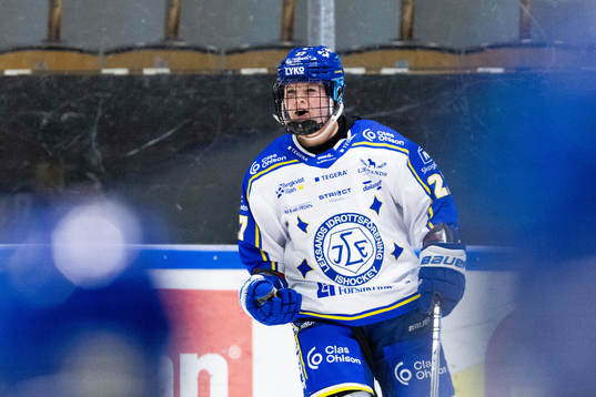 Leksands Shay Maloney jublar