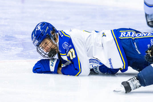 Leksands Tereza Radova