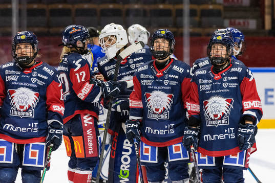 Linköpings spelare jublar