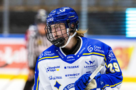 Leksands Courtney Vorster
