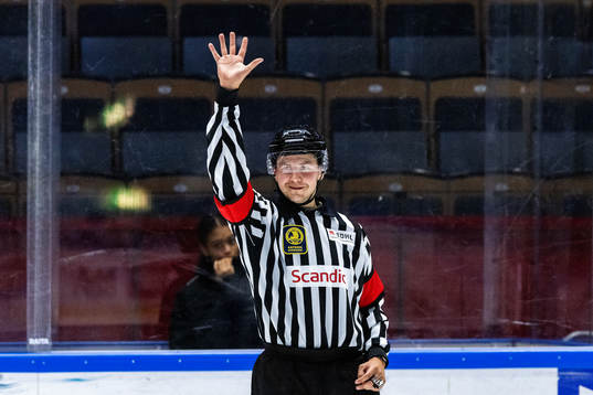 Domare Jesper Karlsson