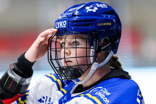 Leksands Shay Maloney