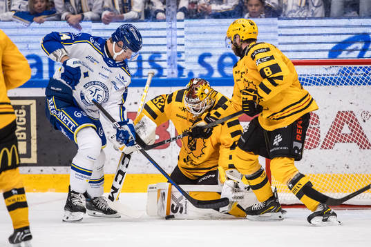 Leksands Carter Ashton och Skellefteås målvakt Linus