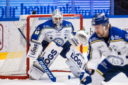 Leksands målvakt Mantas Armalis
