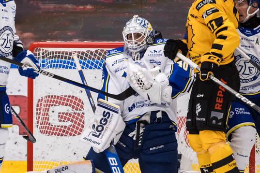 Leksands målvakt Mantas Armalis