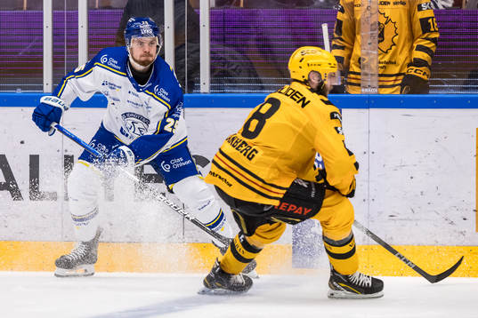Leksands Lucas Elvenes