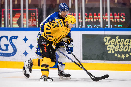 Skellefteås Rickard Hugg och Leksands Peter Cehlarik