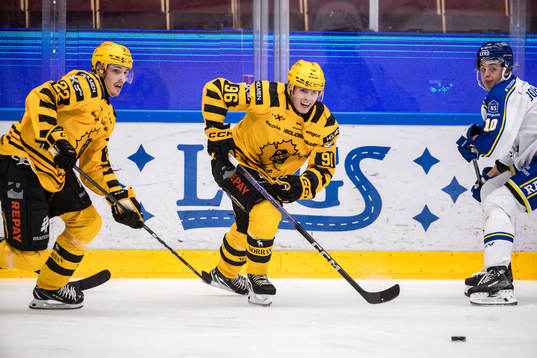 Skellefteås Rickard Hugg